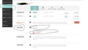 dns
